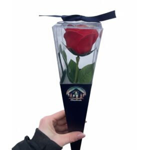 szappanvirag-piros-rozsa-1