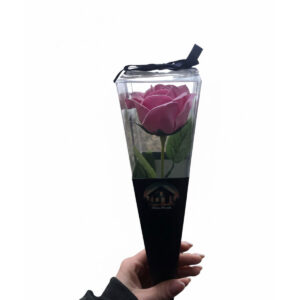 szappanvirag-rozsaszin-rozsa-1